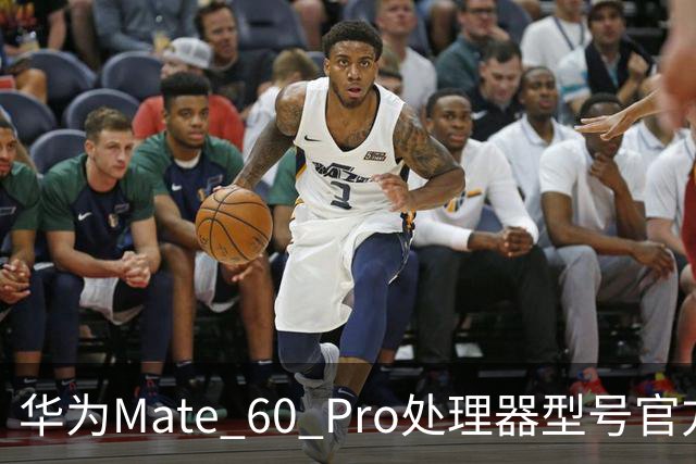 华为Mate 60 Pro处理器型号官方首次“揭秘”，搭载麒麟9000S与30、40、50、90“同台竞技”