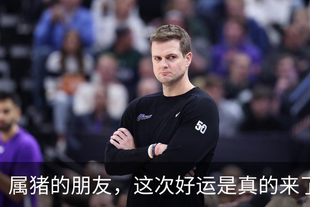属猪的朋友，这次好运是真的来了